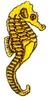 Sea Horse