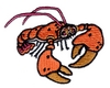 Lobster