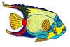 Saltwater Fish