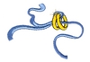 Wedding Bands and Ribbon