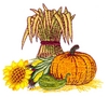Fall Harvest