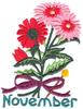 November Chrysanthemum
