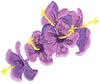 Mothers Day Corsage