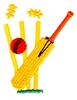 Cricket Out