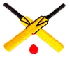 Cricket bats and ball