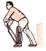 Cricket Batsman