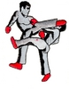 Karate Kicks