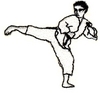 Karate Right kick