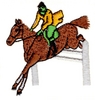 Horse Jumping over Fence