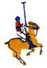 Polo Horse and Rider