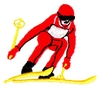 Crouching Downhill Skier