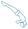 Diver- outline