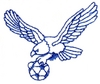 Eagle Carrying Soccer Ball