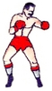 The Boxer