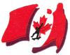 Skate Canada