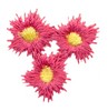 Flower Trio ( Scrapbooking )