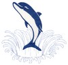 Leaping Dolphin (Square Hoop)