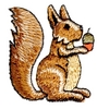 Squirrel With Acorn