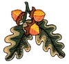 Three Acorns