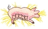 Pig and Piglets