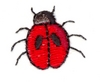 Lady Bug