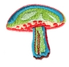 Mushroom