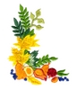 Fruit Border