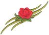 Rose Tattoo