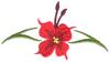 Flower Tattoo