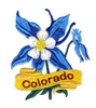 Colorado State Flower (Rocky Mtn. Columbia)