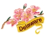 Delaware State Flower (Peach Blossom)
