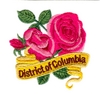 District of Columbia State Flower(American Beauty)