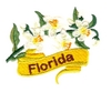 Florida State Flower (Orange Blossom)