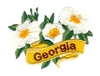 Georgia State Flower (Cherokee Rose)