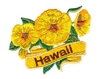 Hawaii State Flower (Yellow Hibiscus)