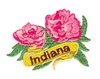 Indiana State Flower (Peony)