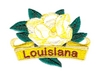 Louisiana State Flower (Magnolia)