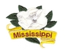 Mississippi State Flower (Magnolia)