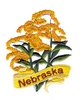 Nebraska State Flower (Goldenrod)
