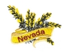 Nevada State Flower (Sage Brush)