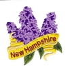 New Hampshire State Flower  (Lilac)