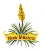 New Mexico State Flower (Yucca)