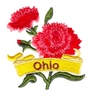 Ohio State Flower (Red Carnation)