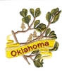 Oklahoma State Flower (Mistletoe)