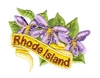 Rhode Island State Flower (Violet)