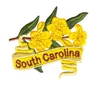 South Carolina State Flower (Yellow Jasmine)