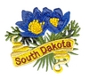 South Dakota State Flower (Pasque Flower)