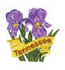 Tennessee State Flower (Iris)
