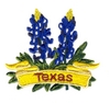 Texas State Flower (Bluebonnets)