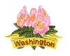 Washington State Flower (West Coast Rhododendrons)